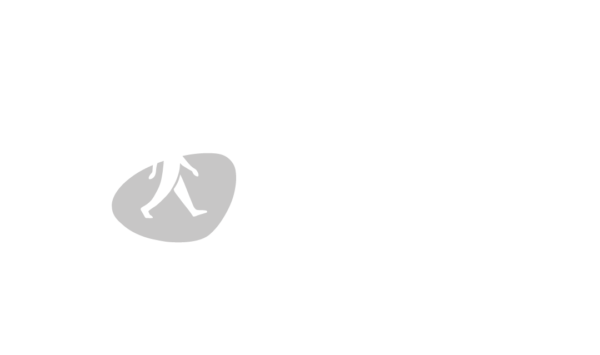 fussverkehr-ch